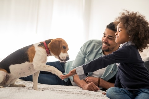 girl playing with dog in bed