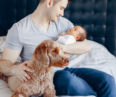 Kennenlernen hund baby