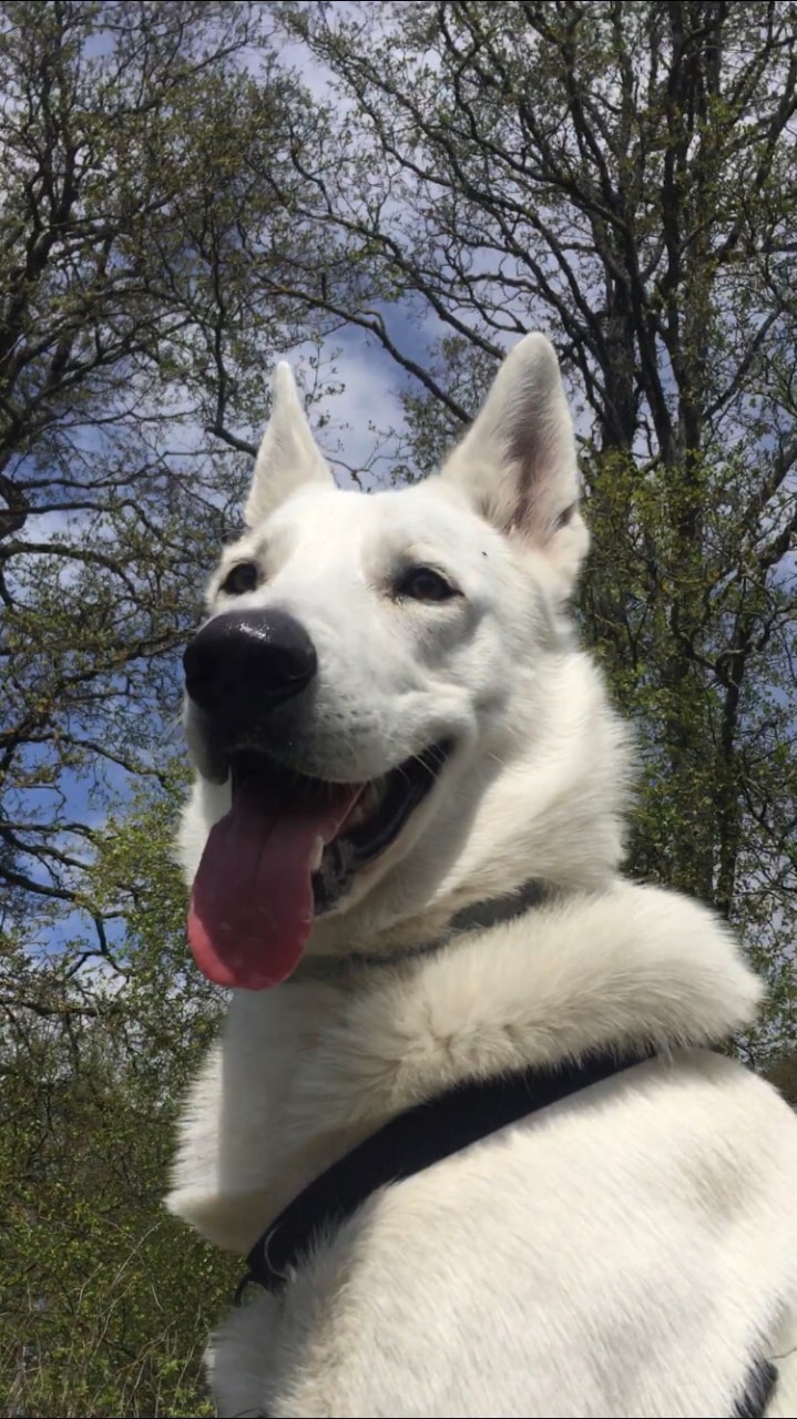 Ilmainen sarja kuva toon porno