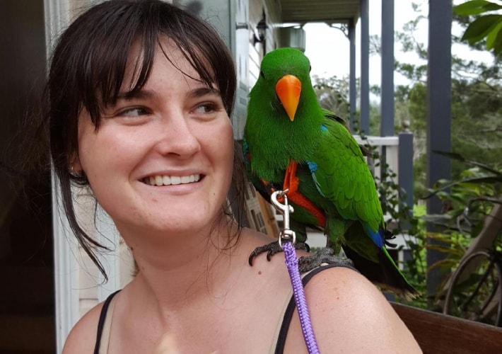 parrot sitter