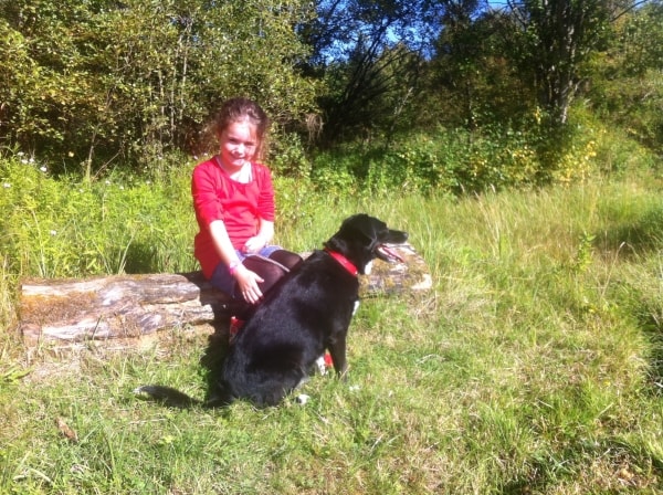 Dog Walking Jobs Southampton Dog Walking Jobs Southampton