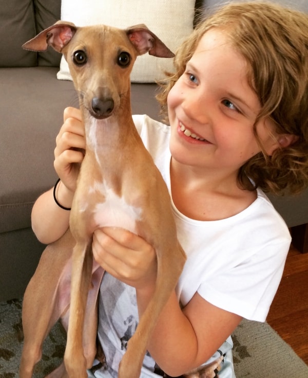 Seymour, Dog of pet parent Narelle Pawshake