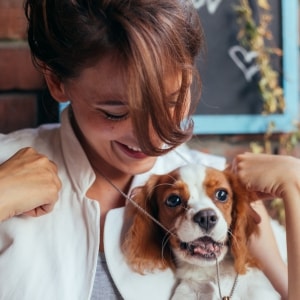 Le/la meilleur(e) Alternative à un chenil de votre secteur