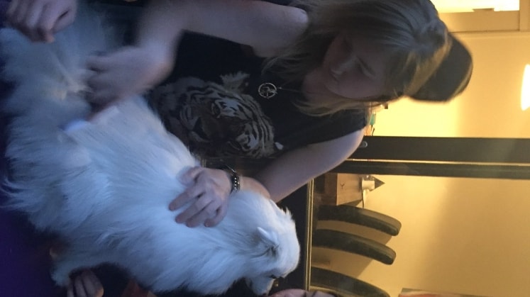 Jasmine in Kelvin grove back image