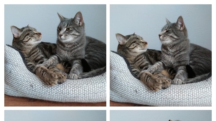 Juliane et Mike à Crauthem back image