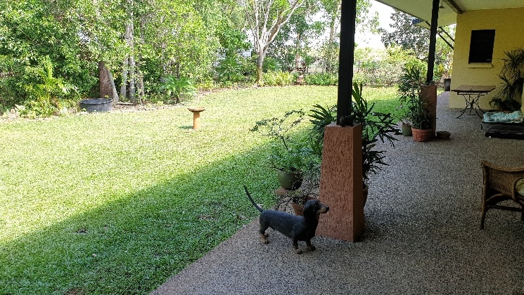 Melissa in Darwin back image