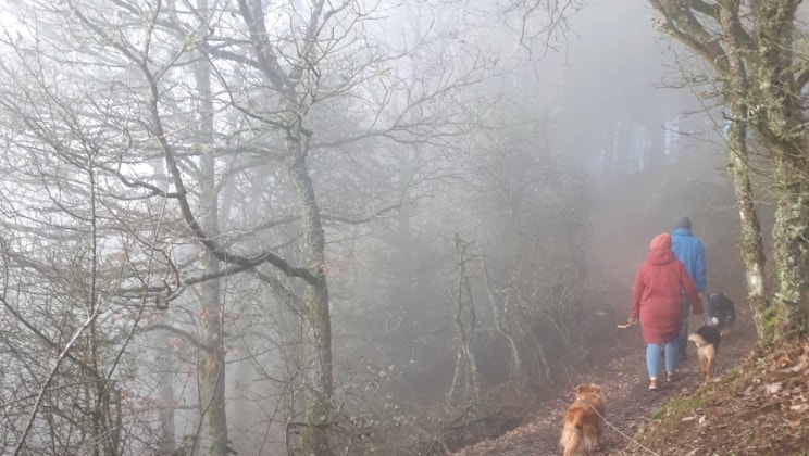 Julia à Büderscheid back image