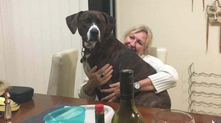 Maisie in Jerrabomberra back image