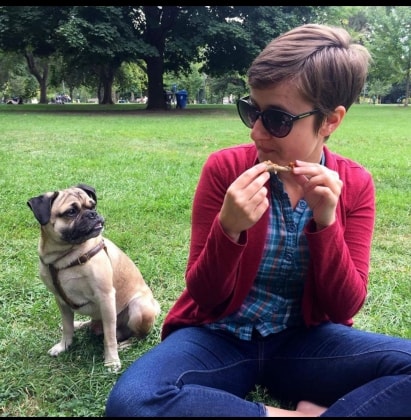 cat sitter etobicoke