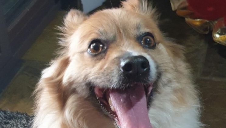 CharbelnMargz in St clair back image