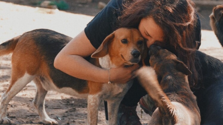 Sara à Itzig back image