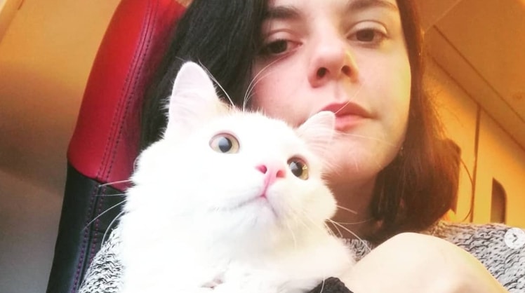 Come Posso Ospitare Profughi A Casa Mia