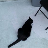 Tarmac Tarmac