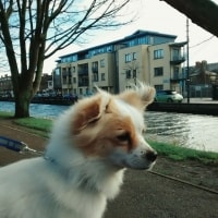 Doris Doris