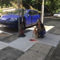Scooter Scooter