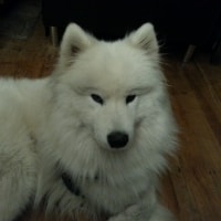 Casper Casper