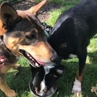Jeffrey, Lucy Jeffrey, Lucy