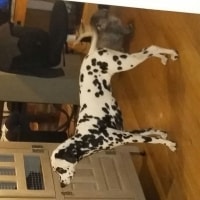 Kayla Kayla