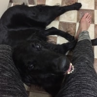 Max Max