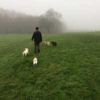 Poppy, Rosie, Eric Poppy, Rosie, Eric