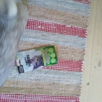 Nano, Ludo, Salli Nano, Ludo, Salli