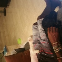 Oreo, Fluffy Oreo, Fluffy