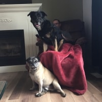 Chevy, Jack Chevy, Jack