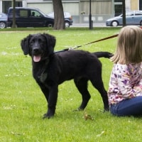 Balou Balou