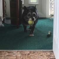Lucy Lucy