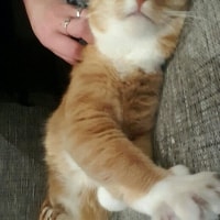 Bobby (aka Bobs) Bobby (aka Bobs)