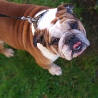 Tucker Tucker