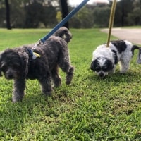 Toby, Nakita Toby, Nakita
