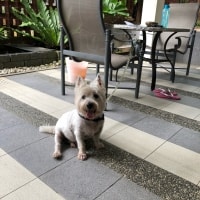 Max Max