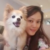 Palupi