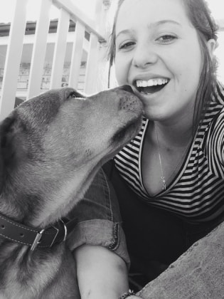 Bentley Dog Of Pet Parent Hannah Pawshake